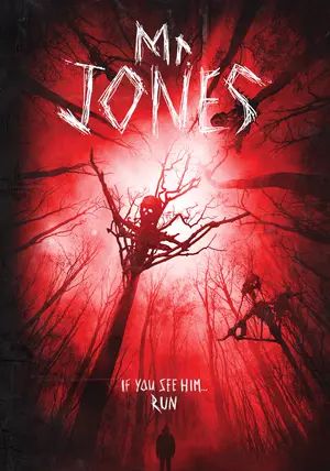 Mr. Jones                มิสเตอร์ โจนส์ บ้านกระชากหลอน                2013